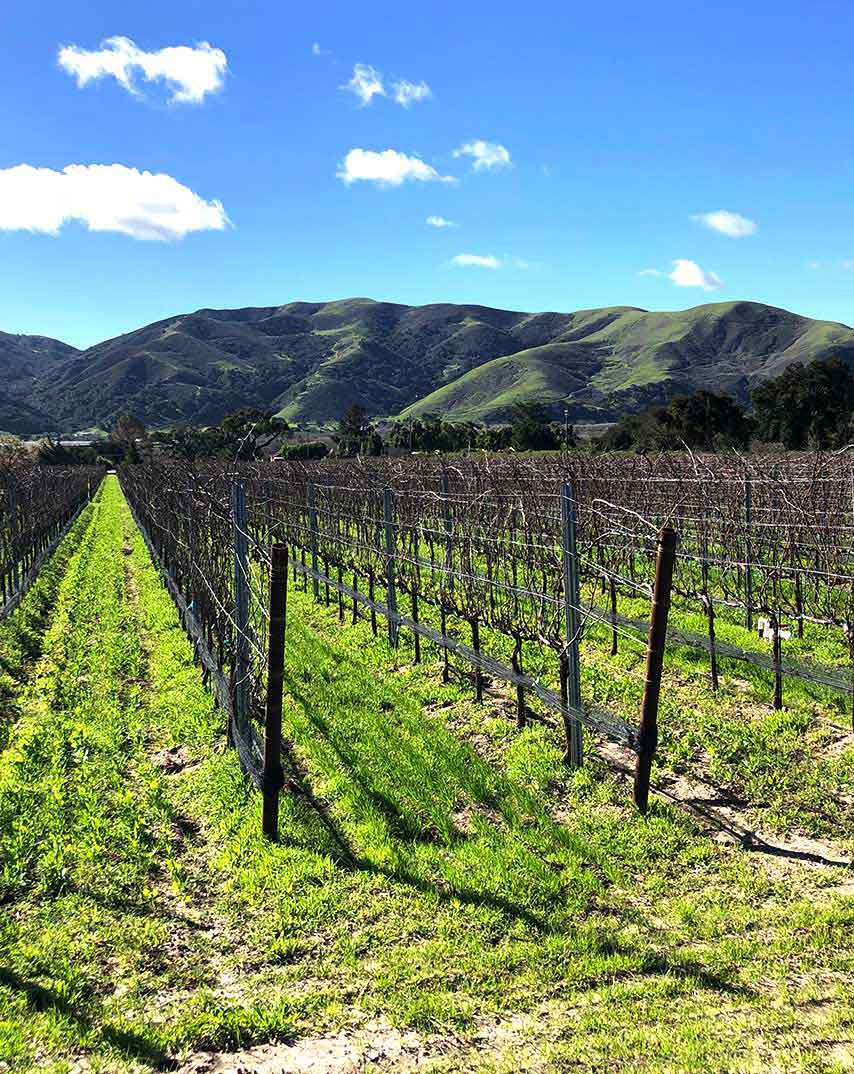 wine tours solvang california